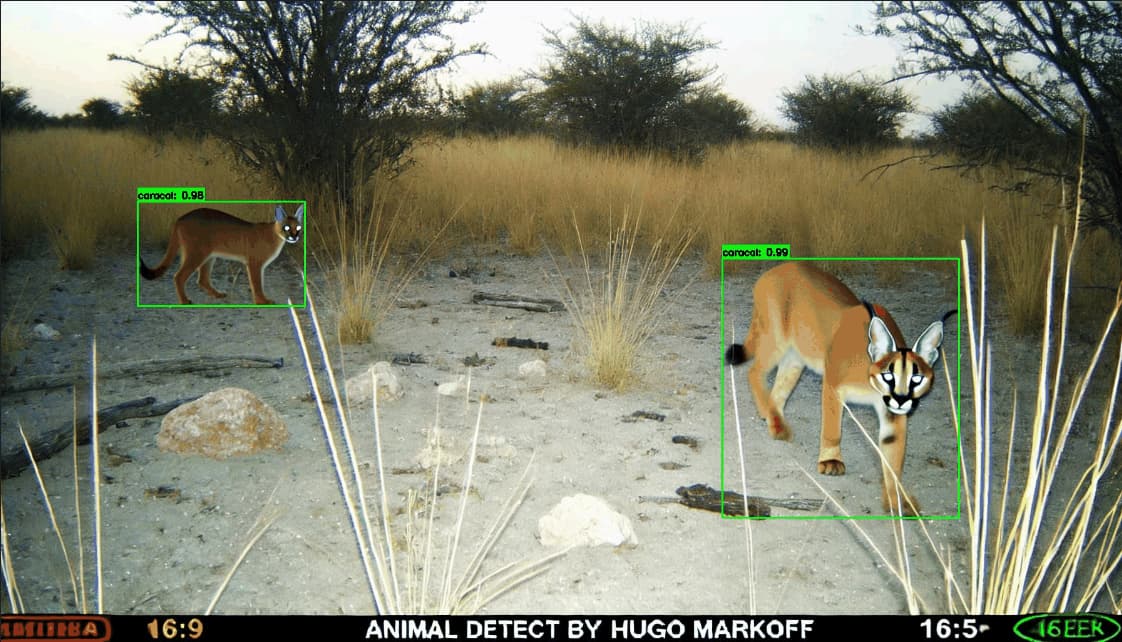 Let AI Generate Your Missing Dataset