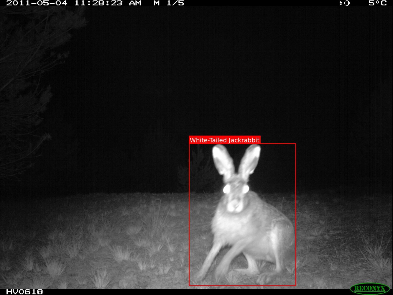 He look as surprised as I do (I assume its a male)